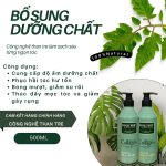 Dầu Xả Biotin Bosecher - 500ml - Ảnh 2