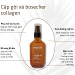 Tinh dầu Argan Oil Bosecher - 60ml - Ảnh 5